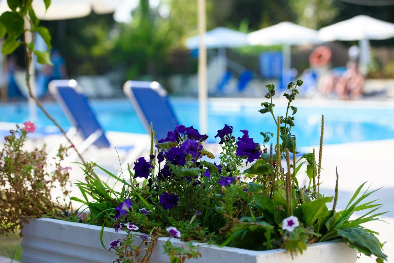 Amalia Hotel - Adults Only Dasziá Kültér fotó